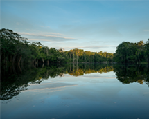 colombian landscape