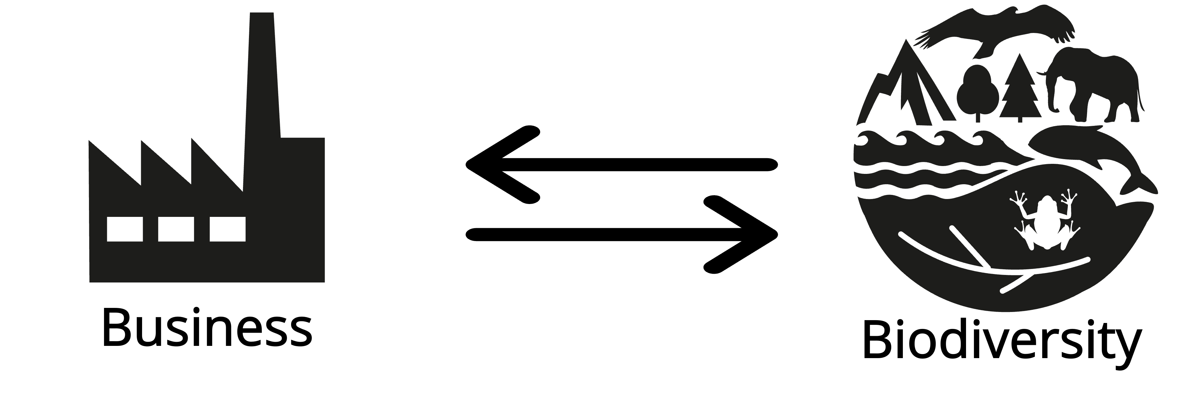 BRF_bussines_Bio.png
