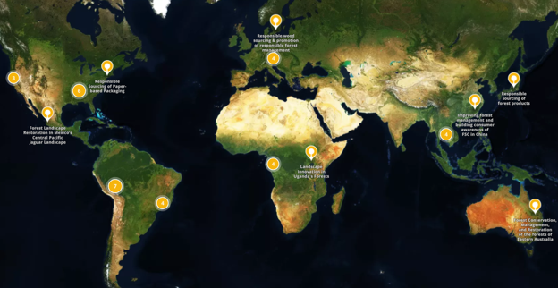 FFWD_portalMap.png