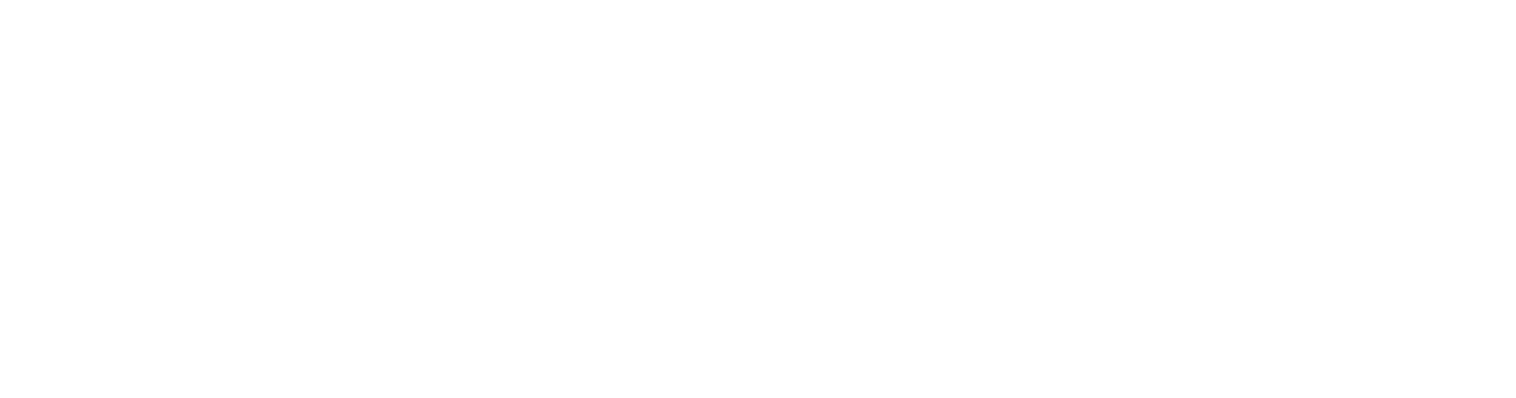 RFS_logo_white.PNG