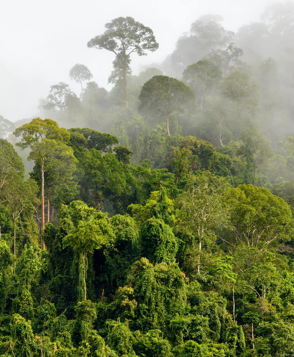 WWF_Biodiversity_Risk_Filter_Home.jpeg