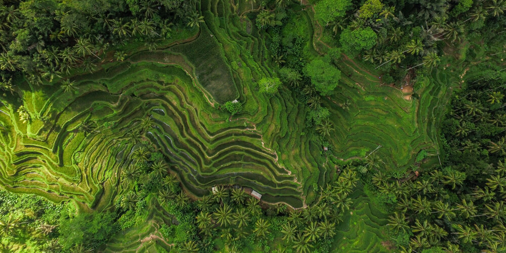 WWF_Biodiversity_Risk_Filter_Inform.jpeg