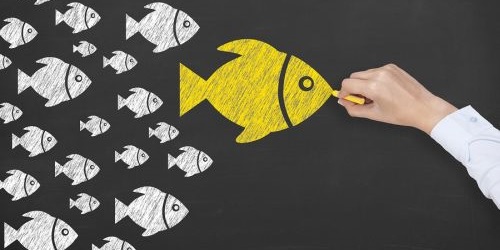 Influencer Marketing – eine Chance für Gründer