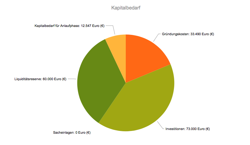 Ein Kreisdiagramm zeigt die prozentuale Verteilung des Kapitalbedarfs