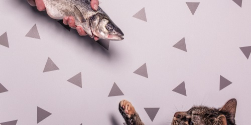 Zielgruppe: Am Anfang steht der Käufer